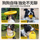 Qi Oh dog toy ball bite-resistant Frisbee pull ring pet border collie toy to relieve boredom self-pleasure tool molar dog training toy interactive pull ring large size 29cm