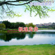 新直播背景视频直播间主播山水田园外景快手抖音网红背景布 11149 宽2米高2.5米