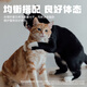 安贝安诺成猫专用猫粮 35%鱼肉+25%鸡肉配方英短美短猫咪通用粮3斤 鱼肉味猫粮1.5kg