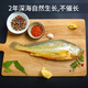 Sandu Port Frozen Three-Removed Large Yellow Croaker Net Weight 2Jin Jin is equal to 0.5kg / 2 packs Ningde Yellow Croaker Fresh Fish
