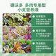 Devodo succulent special plant nutrient solution 6 bottles/pack gardening green plant flower fertilizer planting color rooting organic foliar fertilizer