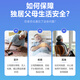 El cuidado de ancianos y el robot inteligente compañero. Los ancianos deben evitar caídas y caídas de alarma. SOS pide ayuda en momentos críticos. Monitoreo de hipertensión y manejo de enfermedades crónicas. Xingguang Silver + Instrumento de monitoreo de otoño