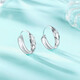 Liuguifu Jewelry Platinum Earrings Women's PT950 Earrings Ice Mirror Earrings Birthday Gift 1.50g