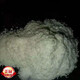 【官方大药房】北大荒 免疫球蛋白 牛初乳粉36% 北大荒垦造见荒北垦 牛初乳粉 免疫球蛋白26 牛初乳粉新包装 1盒