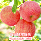 Jingdi Dalochuan apple net weight 8.5Jin Jin is equal to 0.5kg single fruit 250g + Shaanxi Red Fuji apple fruit straight from the source