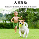 EETOYS Green Tennis Dog Toy Sound Interactive Washable Teeth Cleaning Ball Pet Supplies