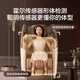 Beijing-made massage chair H5S nationally subsidized home full-body massage fully automatic space capsule zero-gravity multi-functional smart electric massage sofa chair birthday gift for parents