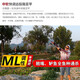 猎鱼魔（Lie yu mo）泛用路亚竿全套纺车轮碳素直柄ML调枪柄水滴轮路亚竿套装鱼竿 1.8米 直柄+金属纺车轮+饵+线
