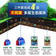Crazy Water Grass (FKSC) Aquatic Weed Mud Fish Tank Landscape Set Grass Garland Garment Garment Leave Water Grass Seed Decorative Base Sand Algae Mud [Strong Fertilizer Set + Free Dodge House] 5L Mix