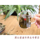 Grünes Geld Willow Tee Centennial Tree Tree Green Money Willow Health Tee werden Blatttee Gold Geld Willow 170g