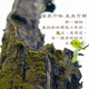百益佳 春茶 冰岛普洱茶生茶饼茶 头春古树 357g生饼 1片