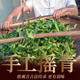 琛牌 茶叶 铁观音带梗毛茶500克2025新茶春茶清香型乌龙茶散装高山茶