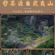 第几茗武夷岩茶大红袍东峰百年矮脚乌龙茶北苑好茶中火花果香茶叶500克 百年矮脚乌龙茶 250克
