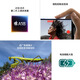 【99成新】Apple/苹果 iPhone 16 Plus（A3291）256GB 群青色 支持移动联通电信5G 双卡双待手机
