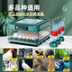 Water bed duck goose small rutin chicken incubator egg incubator incubator small household type fully automatic intelligent 24 pieces fully automatic dual power (display temperature + days)
