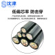 Shenjin ZR-VV22-0.6/1KV-4*16mm national standard copper core armored flame retardant power cable 1 meter