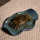 PAKCHOICE tea pet ornaments color change crab tea table ornaments tea pet can raise tea table ornaments tea set accessories quality tea ornaments color change crab