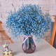 AIMAN natural dried flower bouquet of gypsophila ins internet celebrity birthday new house decoration ornaments air-dried real flower arrangement home furnishings blue and pink mixed with gypsophila without vase