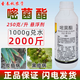 Azoxystrobin, ginger, cucumber, watermelon, anthracnose, powdery mildew, rust, pesticide, fungicide, Amicida 1000g