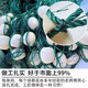 Guangtai 1-finger, 2-finger, 3-finger, 4-finger drag net, drag net, drag net, clear pond fishing net, partition net, seine fish net, 12 strands, mesh, 3 fingers, 3 meters high, 20 meters long, unfolded height is 2.1 meters