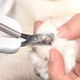Paike is a cat nail clipper for cats, kitten nail clipper, novice nail clipper, elbow pet supplies, romantic cherry blossom flat head, small and sharp, suitable for novices