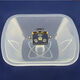 Noyalan adaptiert an das Boss-Bereich Hood Oil Network CXW-200-728T-736-737 European Range Hood Accessoires Two Intranet