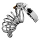 The charming bird dragon cb lock chastity lock SM clean lock penis lock men's anti-death private part penis lock color bird cage D (with catheter) Large size (internal diameter of the lock ring 50mm)
