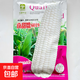 National Approval Corn Seed Sweet Waxy Corn Seed Hybrid Corn White Corn National Approval Corn Seed Nan Tiannuo 6019 Corn Seed 200g