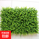 Simulated outdoor plant wall plastic fake lawn background living room plants indoor balcony artificial turf door head height 9 cm encrypted green