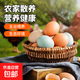 Jiuhuashan forest free-range green-shell black eggs mixed box eggs 35-45g/breakfast soft-boiled eggs for grocery shopping 30 pieces (15 free-range eggs + 15 black eggs) Jiuhuashan forest free-range green-shell black eggs mixed box eggs 35-45g/breakfast soft-boiled eggs for grocery shopping 30 pieces (15 free-range eggs + 15 black eggs)