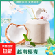 Imported from Vietnam, green coconut single fruit Ao Ying seasonal fresh fruit, free coconut opener and straw, 1 early adopter, single fruit 850g+