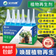 Plant Regeneration Agent Resurrection Liquid Flowers and Green Plants Potted Plants Universal Light Rod Yellowing Money Tree Succulent Growth Nutrient Solution 1 box with 6 bottles in total to rejuvenate + activate dead seedlings