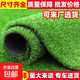 Simulated lawn carpet, artificial artificial turf, green outdoor decoration, fake grass plastic mat, balcony kindergarten, 2cm thick spring grass (4m wide*10m long)