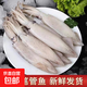 Wild fresh sea-caught quick-frozen fish, Aplysia squid roe, direct delivery from Lianyungang, fresh sea-caught fish 500g*5 packs 5 Jin Jin equals 0.5 kg