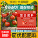 Special fertilizer for tomatoes, organic fertilizer for tomatoes, organic fertilizer for potted vegetables, agricultural vegetables, cherry tomatoes compound fertilizer, 100 packs (individually packaged) - with trial pack