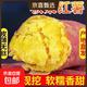 Authentic Shaanxi Chestnut Sweet Potato Fresh Sand Sweet Potato Really Cheap Breakfast Supermarket Live Room JD.com Chestnut Sweet Potato 2Jin Jin equals 0.5kg, including box of small and medium-sized fruits (single pair 1 tael-4 taels)