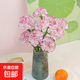Carnation flowers holiday gift water-grown flowers for mom Yunnan flower base straight hair 10 random color carnations