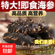 Factory direct sales of authentic wild sea cucumbers and sea cucumbers without ice, fresh deep sea sea cucumbers, high quality sea cucumbers wholesale, 20 extra large king sea cucumbers, net weight 1kg, no ice, vacuum individually packaged