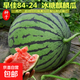 Fruit set, strawberry, cherry tomatoes, croissant, honey, watermelon, balcony potted farmhouse garden melon seeds, various kinds of rock sugar unicorn watermelon seeds, 2 packs, about 100 seeds