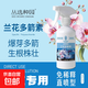Special fertilizer for orchids, butterfly orchids and flower arrowroots. Multi-sword bursting buds and multi-arrow orchid spirit king nutrient solution. Orchid arrowroots 300ML*3 bottles (1 nozzle)