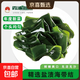 福建霞浦盐渍海带结新鲜特厚昆布无沙高泡发低盐火锅炒菜商用批发 盐渍海带结1包500g
