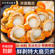 New arrival, extra large scallop meat, pure wild-caught fresh scallops, frozen seafood, kept fresh with ice, scallop meat 400g*1