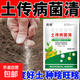 Soil-borne disease bactericide, agricultural soil fungicide, anti-repeat root rot, dead seedlings and root rot, 3 packs 500g*3