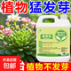 Plant bursting hormone, budding hormone, succulent leaf inserts, germination promotion, household flower growing fertilizer, old pile plant clear leaf fertilizer, old pile dry yellow leaves first aid, new buds grow, 3 barrels 7500ml