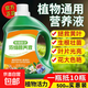 Nutrient solution plant universal flower fertilizer fortune tree rich bamboo green dill hydroponic potted household flower flower fertilizer universal nutrient solution 500g 3 bottles