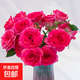 10 roses, Yunnan flowers, straight hair, holiday flowers, gift bouquet, home water-raised flower arrangement 1, Floyd 10 stems