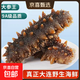 9A Dalian Liao sea cucumber fresh sea cucumber, pregnant women, edible tonic for the elderly and children, ready-to-eat sea cucumber 4-6 pieces/Jin Jin equals 0.5 kg, ready-to-eat sea cucumber 1 Jin Jin equals 0.5 kg (4-6 pieces)