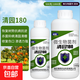 Qingyuan 180 special orchard clearing agent for fruit trees, peach, plum, grape, orange tree greenhouse fungicide and insecticide special medicine 500g*10 bottles