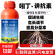 1% indolebutyric acid S-induced plant growth regulator for rice seedlings to promote rooting 500g*5 bottles