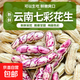 Yunnan colorful peanuts fresh shelled dried peanuts fruits peanuts can be eaten raw cold milk peanuts Jingdong vegetables colorful dried peanuts 2Jin Jin equal to 0.5kg, including box